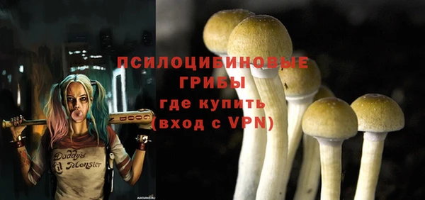 бошки Абдулино